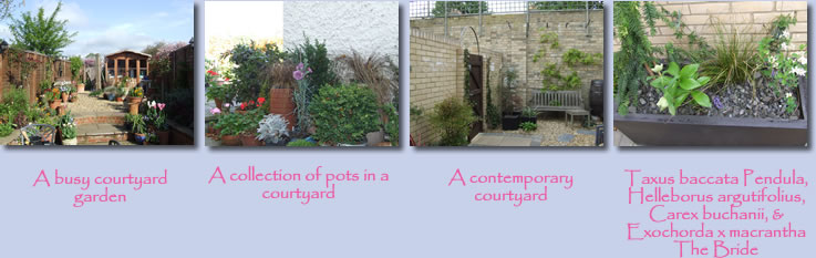 Courtyard Garden Design