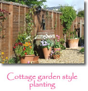 Photograph showning a cottage gardden
