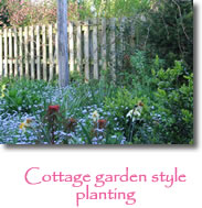 Photograph showning a cottage gardden