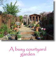 Photograph courtyard garden