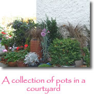 Photograph courtyard garden