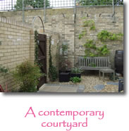 Photograph courtyard garden