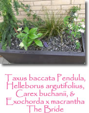 Photograph courtyard garden