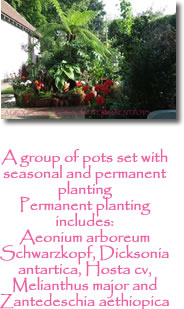 Photograph showing planted garden pot