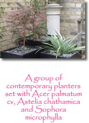 Photograph showing planted garden pot