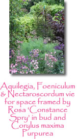 Photograph showing garden design services 
