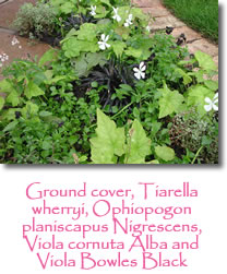 Photograph showing garden design services 