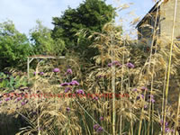 Photograph showing garden design