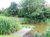 Photograph showing garden design